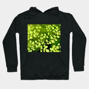 Awesome green leaves tree Hoodie